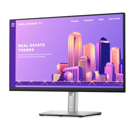 Dell Professional P2422H