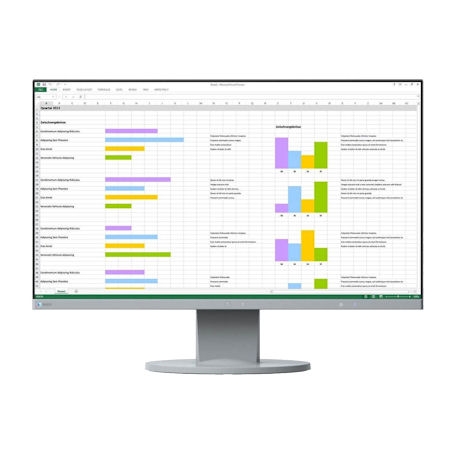 EIZO FlexScan EV2450 Grijs