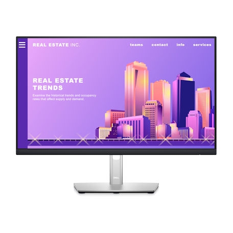 Dell Professional P2422H