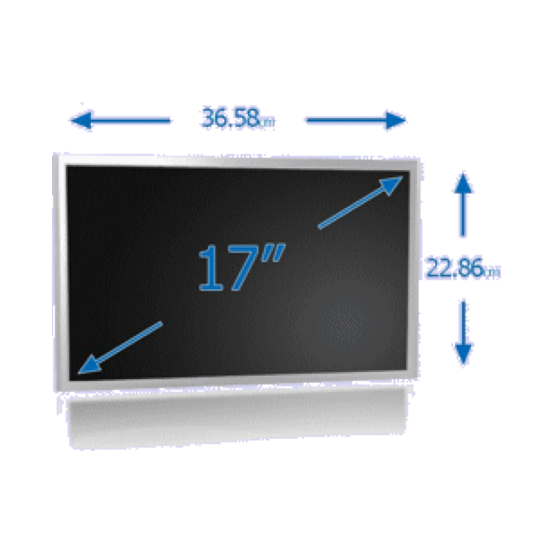 AU Optronics B170UW01
