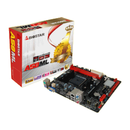Biostar A58ML