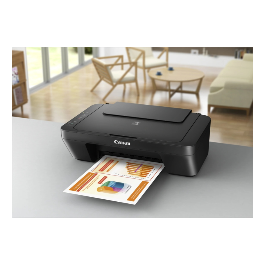 Canon Pixma MG2555S