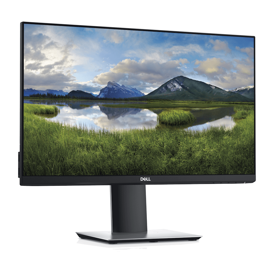 Dell Professional P2319H