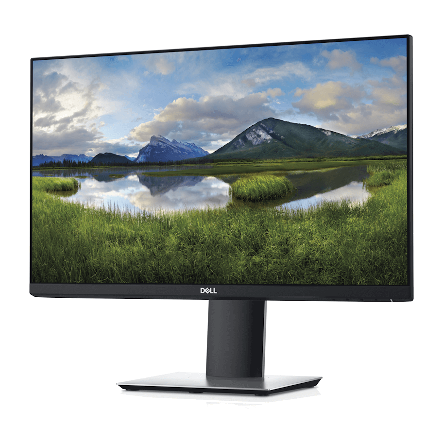 Dell Professional P2319H
