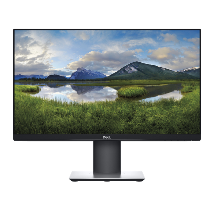 Dell Professional P2319H