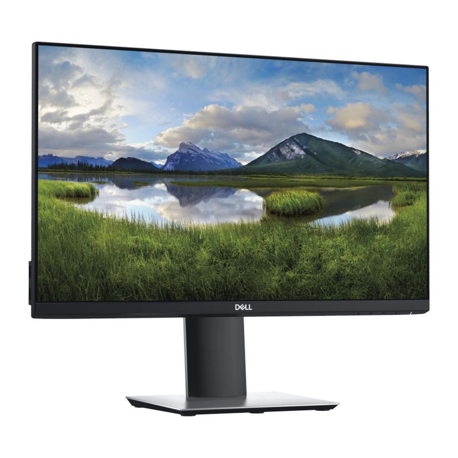 Dell Professional P2319H