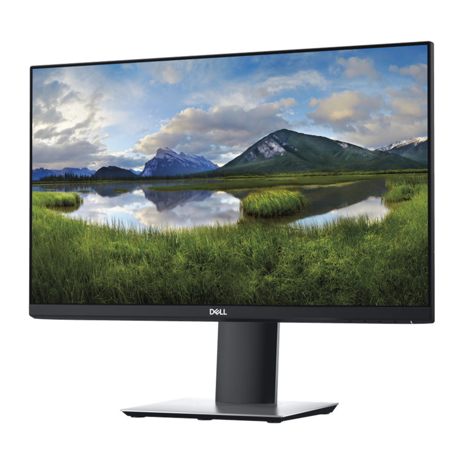 Dell Professional P2319H