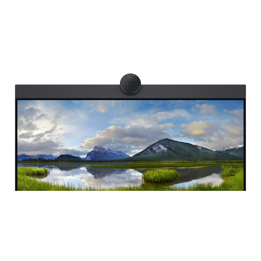Dell P2424HEB