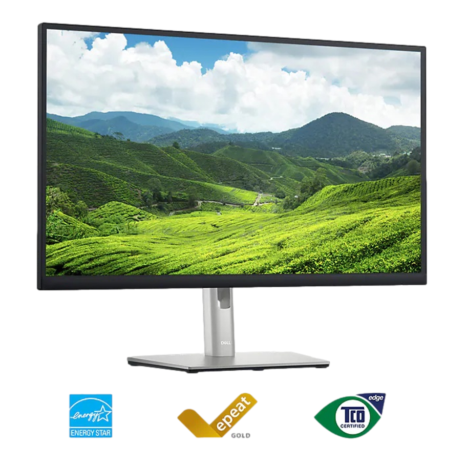 Dell Professional P3223DE