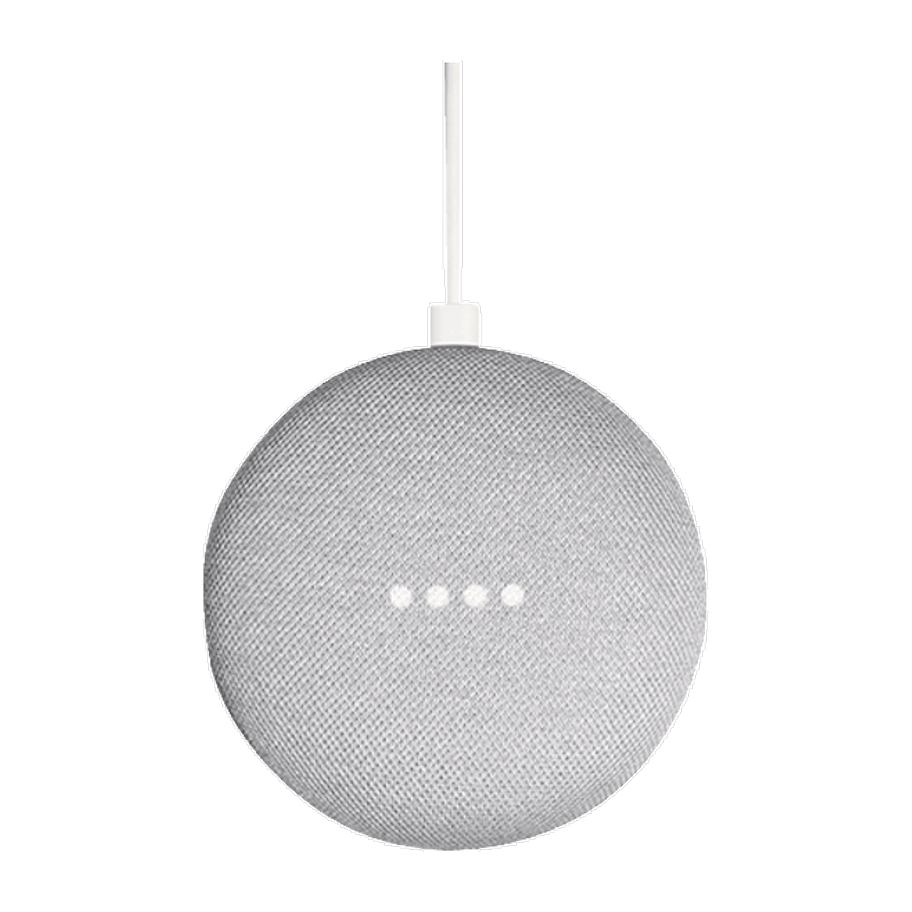 Google GA00210-NL