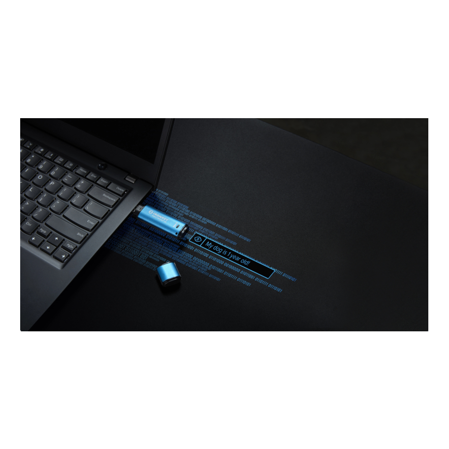 Kingston IKVP50/256GB