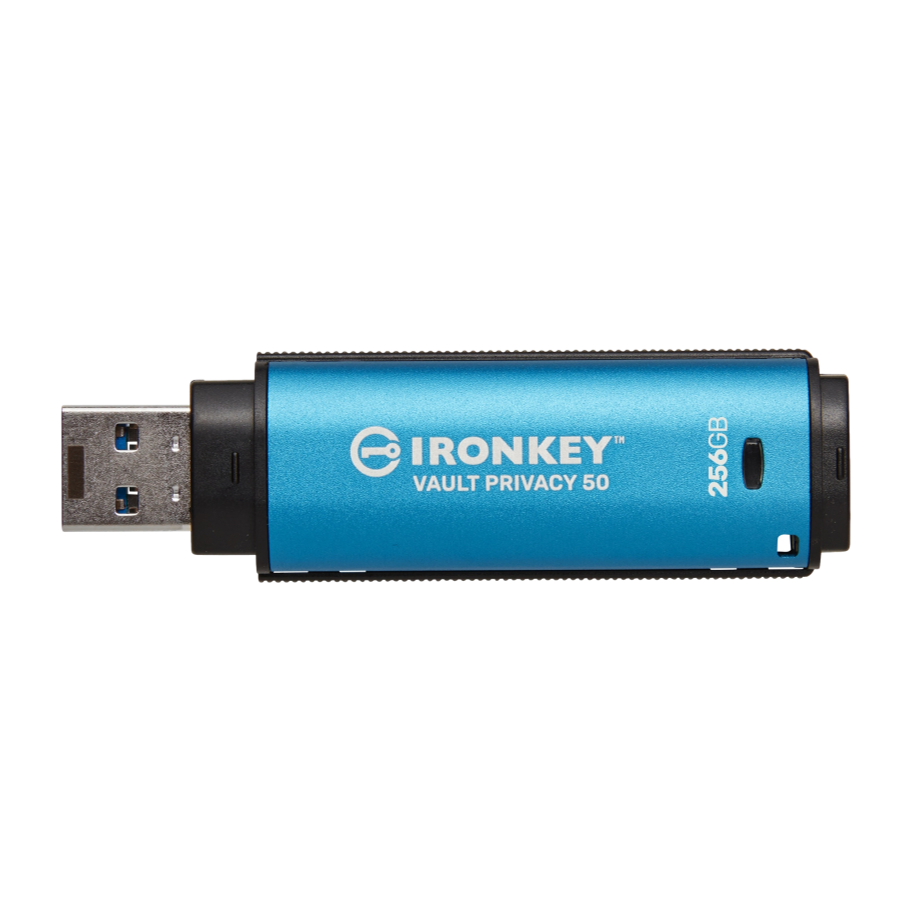 Kingston IKVP50/256GB