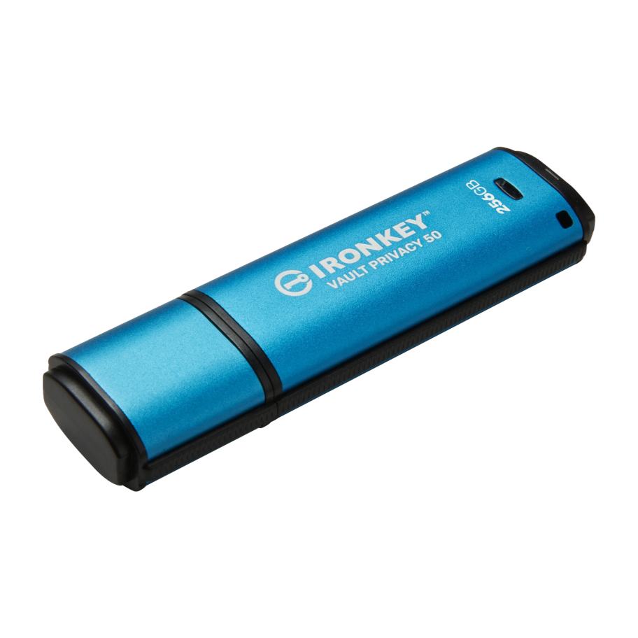 Kingston IKVP50/256GB