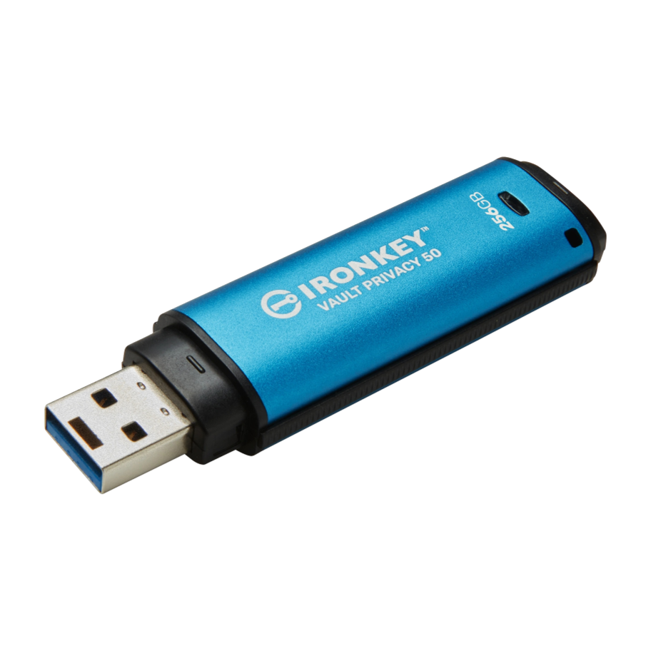 Kingston IKVP50/256GB
