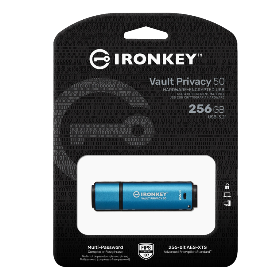 Kingston IKVP50/256GB