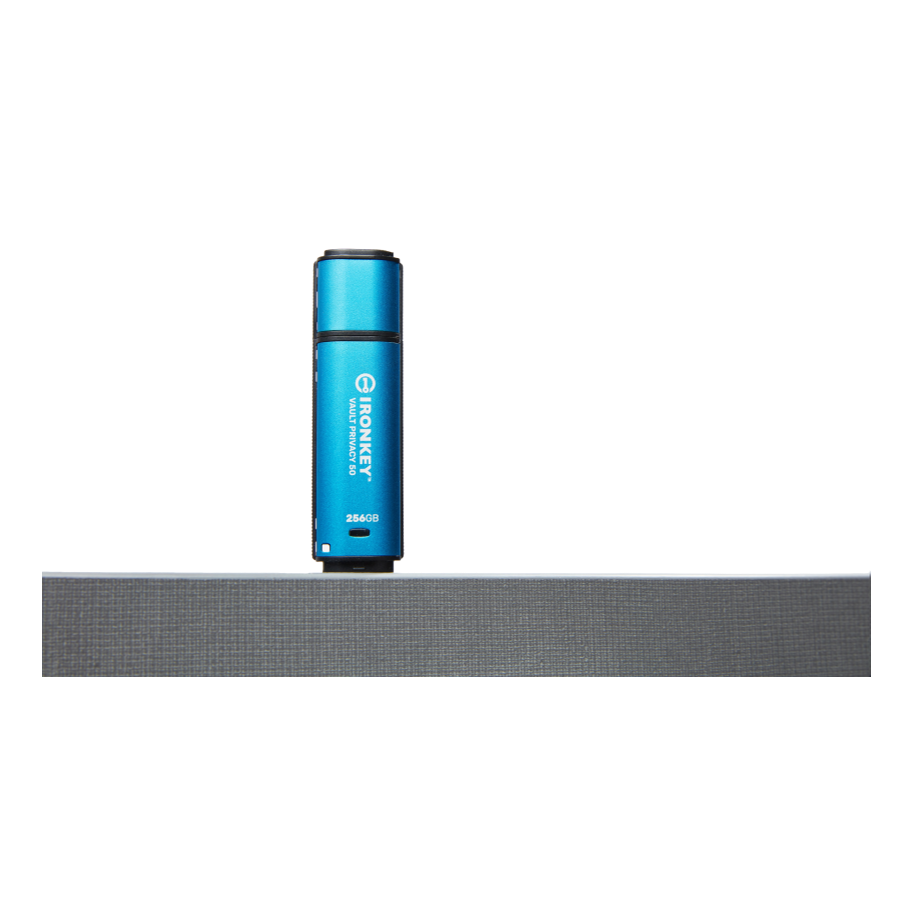 Kingston IKVP50/256GB