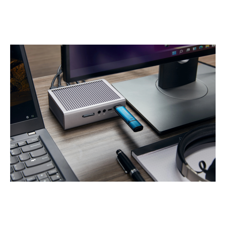 Kingston IKVP50/256GB