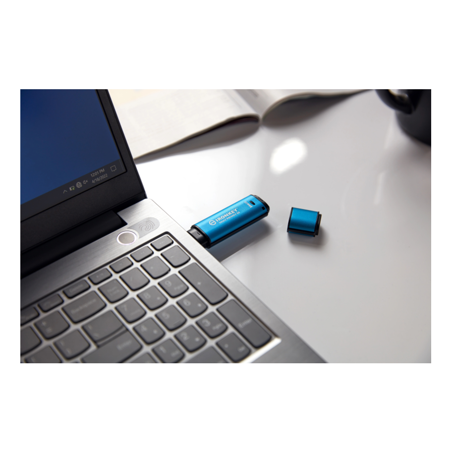 Kingston IKVP50/256GB