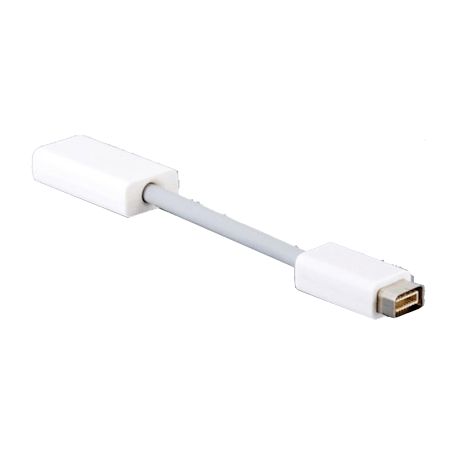 OEM MiniDVI2HDMI