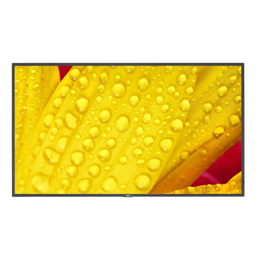 Nec MultiSync M501-2
