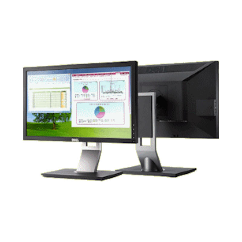 Dell Professional P2210