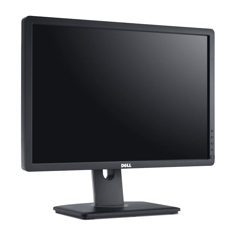 Dell Professional P2213