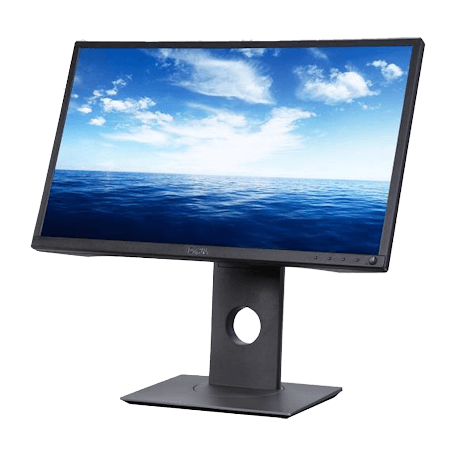 Dell Professional P2417H