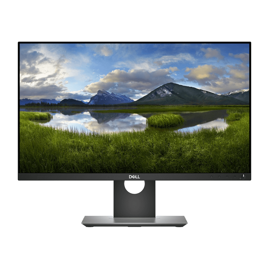 Dell Professional P2418D