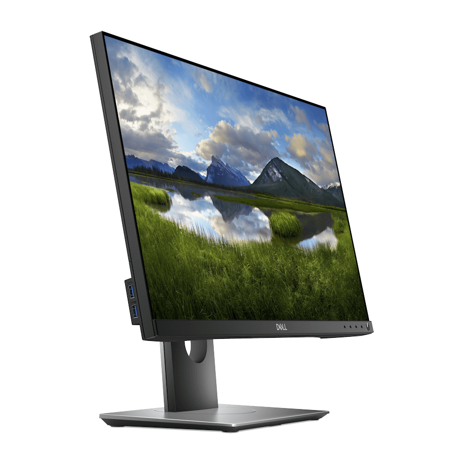 Dell Professional P2418D