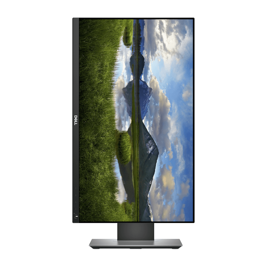 Dell Professional P2418D