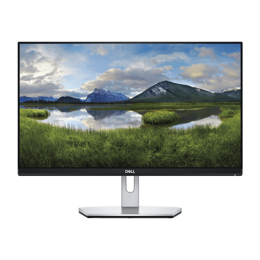 Dell S2419H
