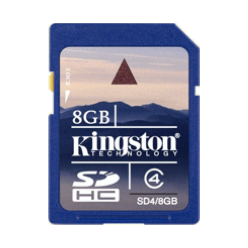 Kingston SD4/8GB