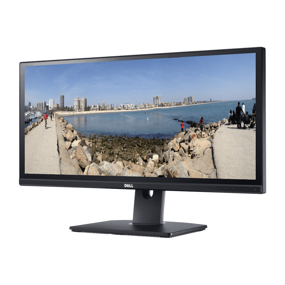 Dell Ultrasharp U2913WM