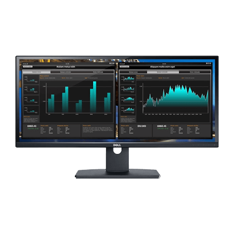 Dell Ultrasharp U2913WM