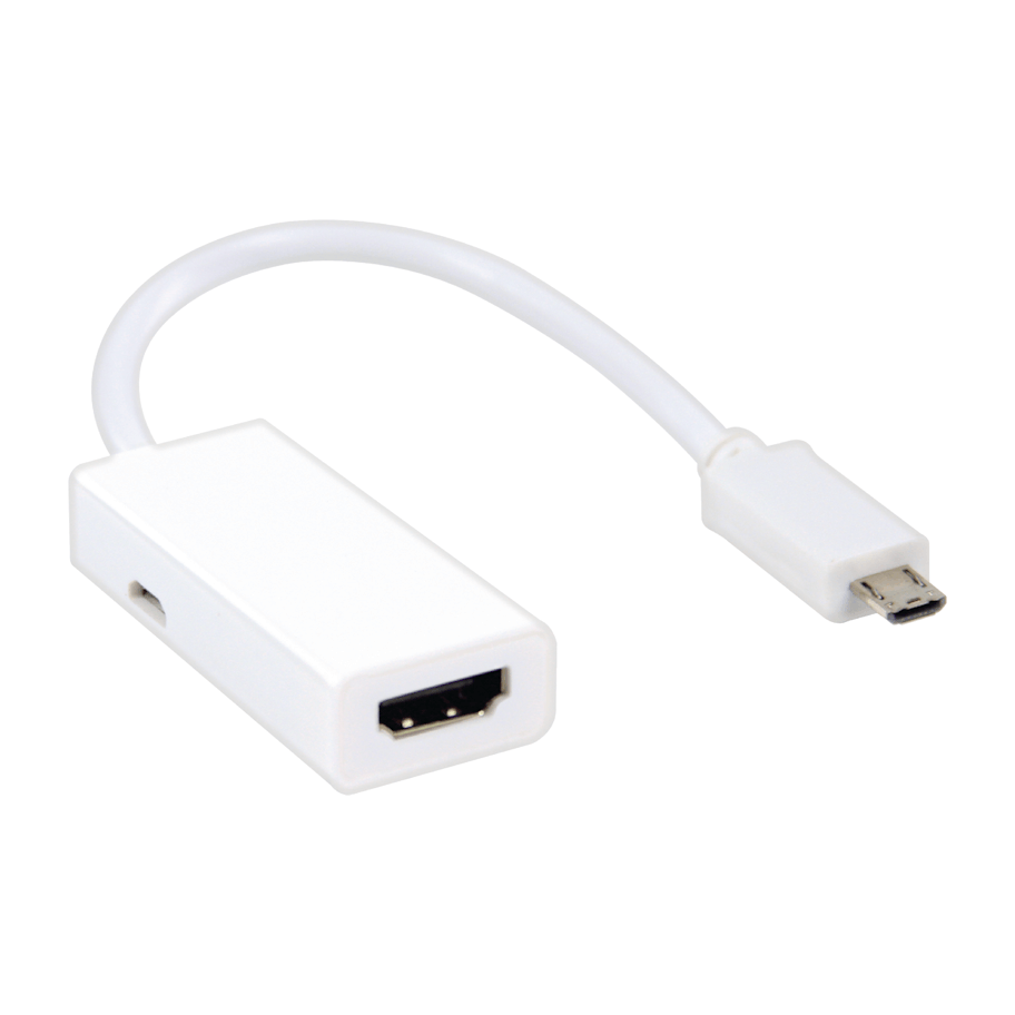 Valueline VLMP39001W0.20