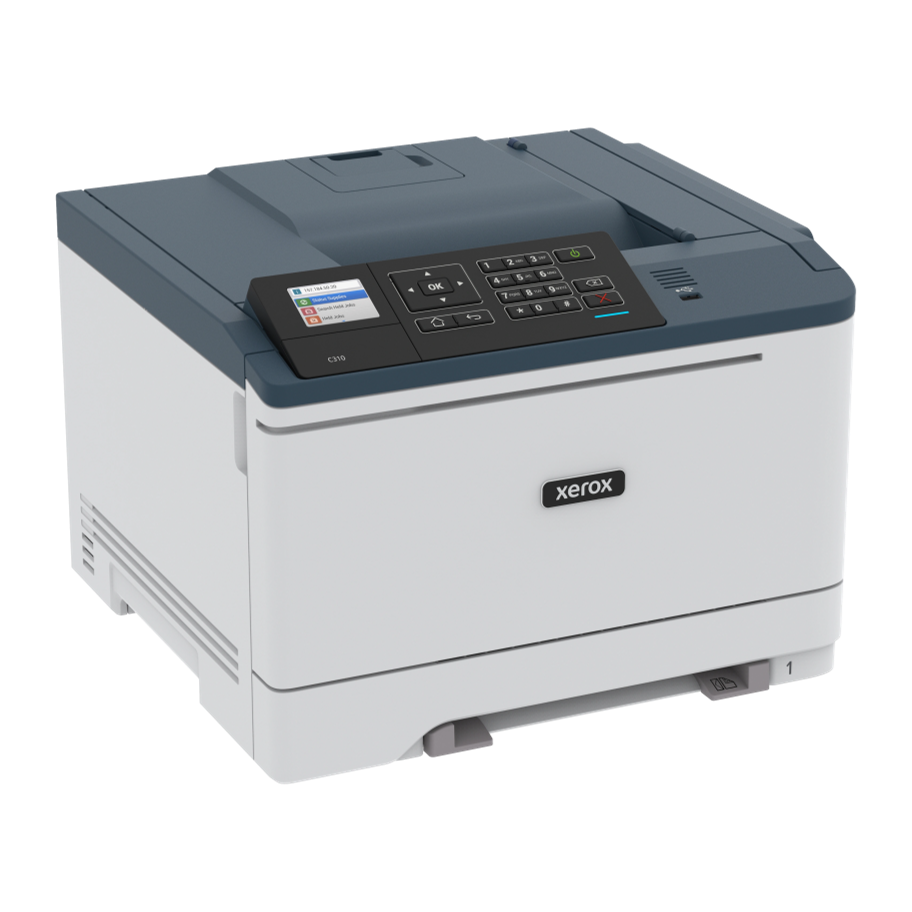 Xerox C310