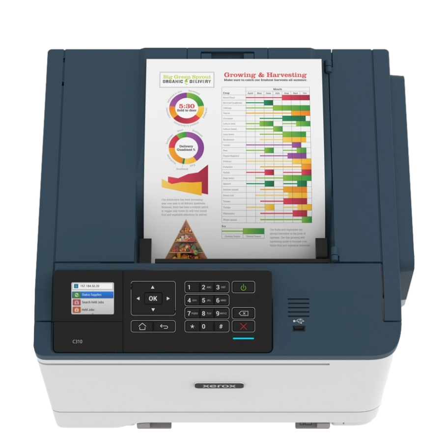 Xerox C310